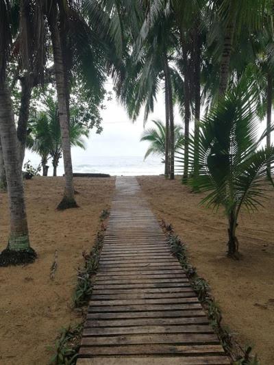 Arrecife Punta Uva Hotel ภายนอก รูปภาพ